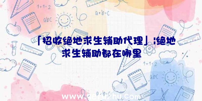 「招收绝地求生辅助代理」|绝地求生辅助都在哪里